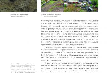 Текст о могильнике и две фотографии: обрыв с фрагментами деревянных колод и жилая застройка посёлка.