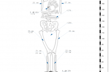 Схематический план скелета с обозначениями находок и вертикальной шкалой высот.